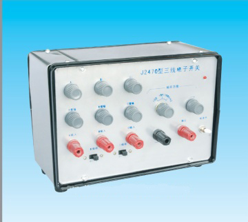 digital switch 21078