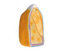 Anatomical model of maize grain (embryo removable)